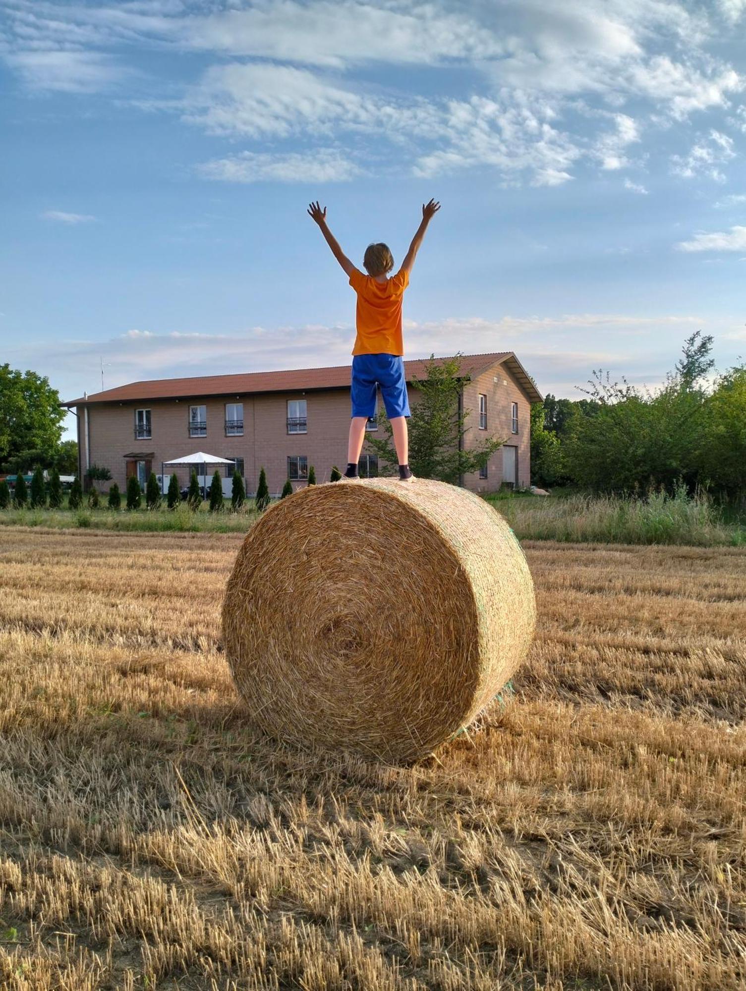 Agriturismo Campi Di Grano Roncade Extérieur photo