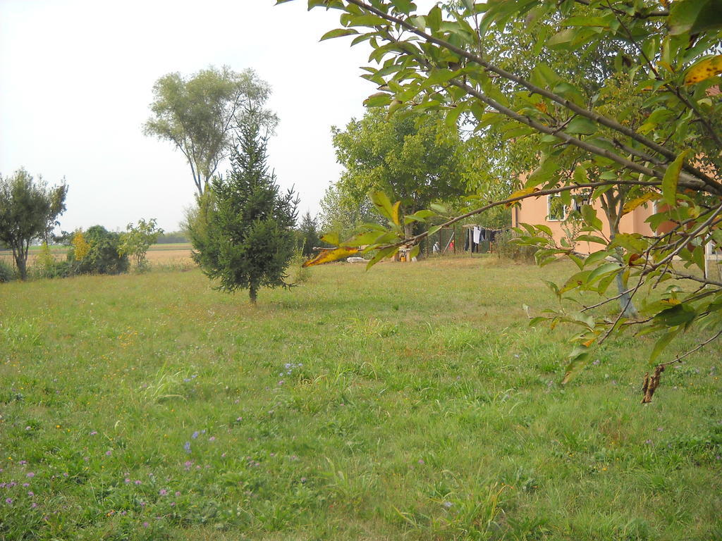 Agriturismo Campi Di Grano Roncade Extérieur photo