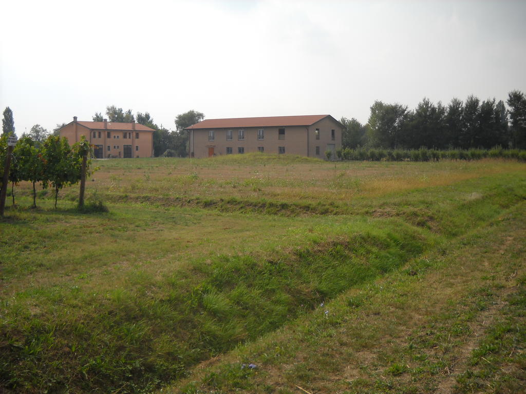 Agriturismo Campi Di Grano Roncade Extérieur photo