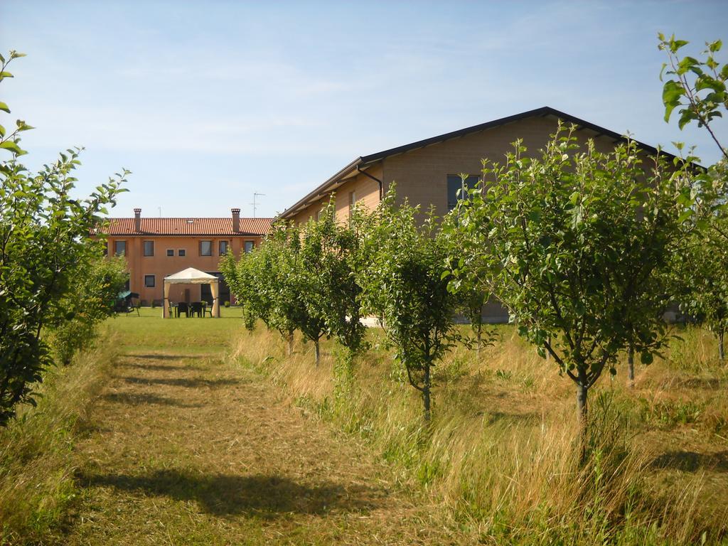 Agriturismo Campi Di Grano Roncade Extérieur photo